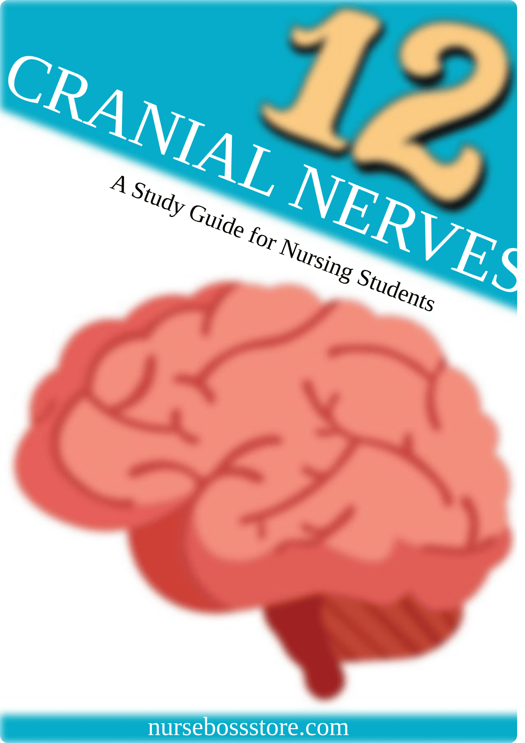 CRANIAL NERVES (NurseBoss Store).pdf_d4wuxdu6au3_page1