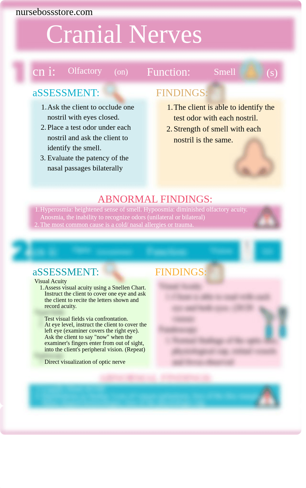 CRANIAL NERVES (NurseBoss Store).pdf_d4wuxdu6au3_page5