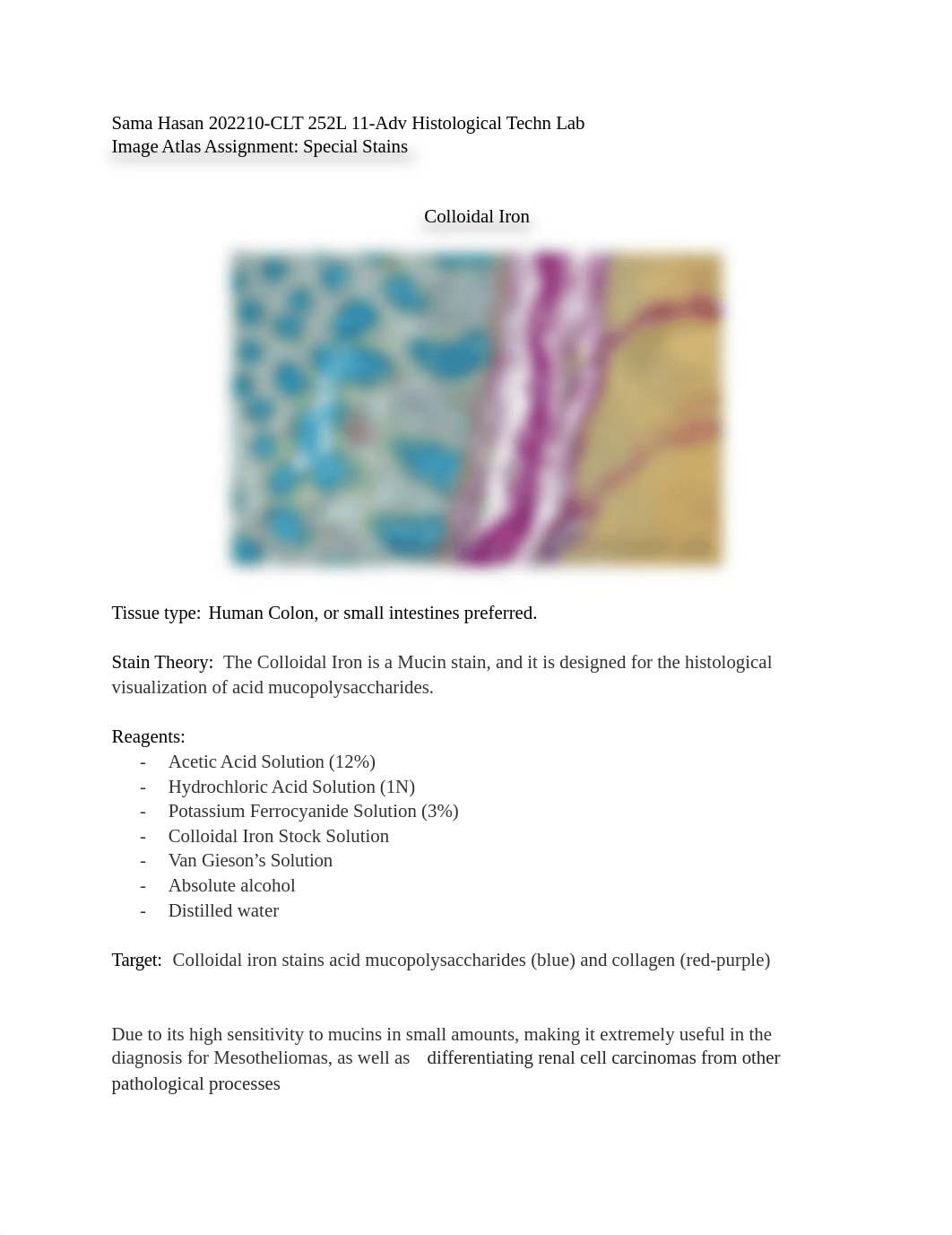 Special Stains Atlas.pdf_d4x2yi0gwg3_page1