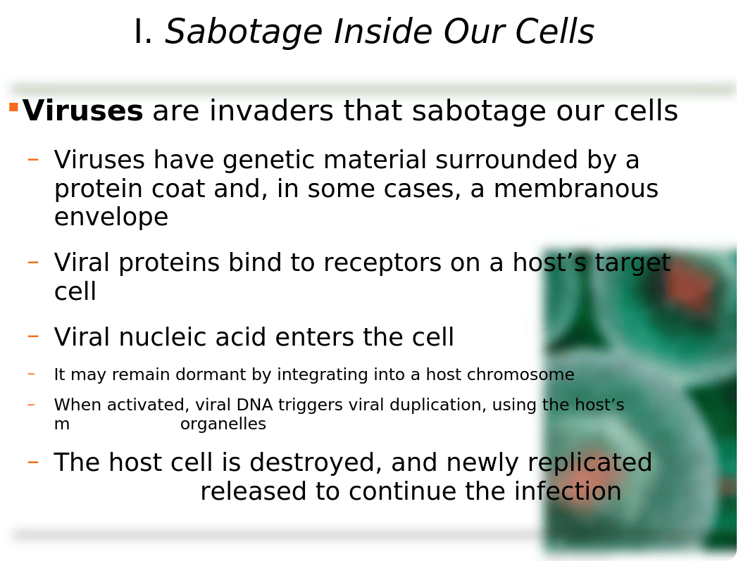 Chapter10Powerpoint_d4x756oiub3_page3