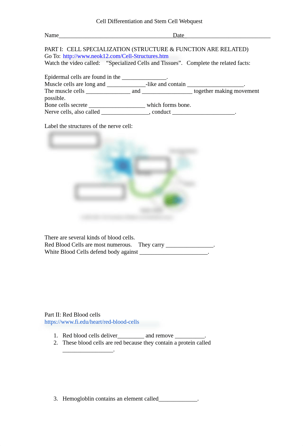 Cell Differentiation and Stem Cells Webquest 2020.docx_d4xaiv1xjbq_page1