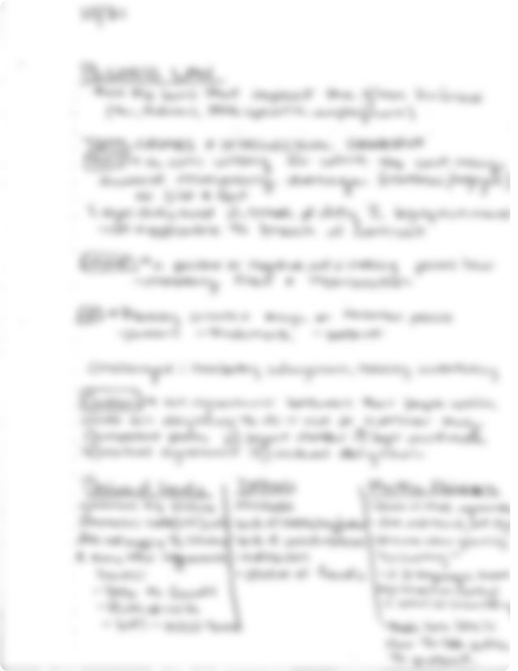 MGMT462 Crime and Contract Notes_d4xea0gzyy1_page2