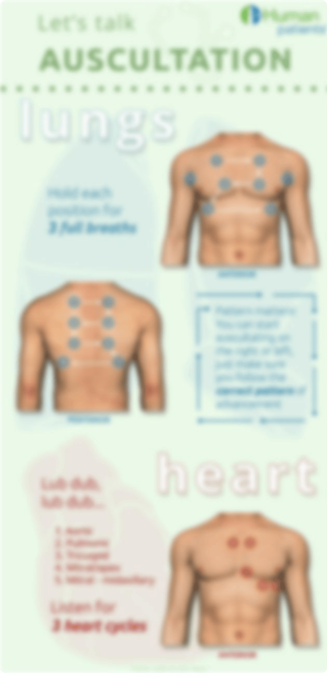 Auscultation - heart, lungs.pdf_d4xsnde2iw0_page1