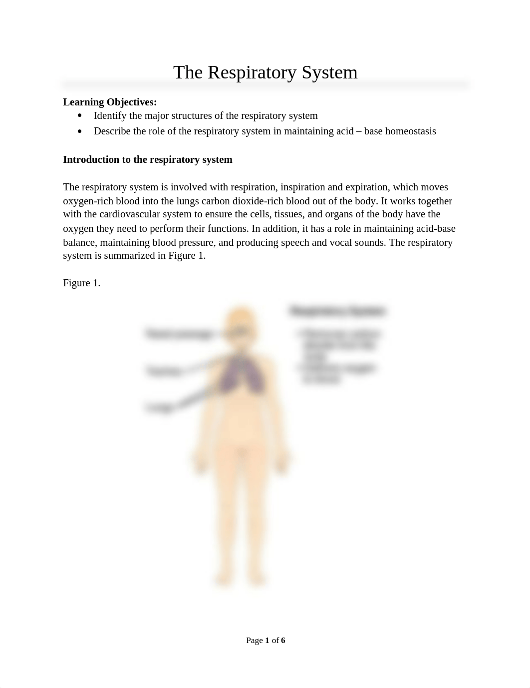 HBescher-Lab 10- The Respiratory System.docx_d4xsr7t3xxx_page1