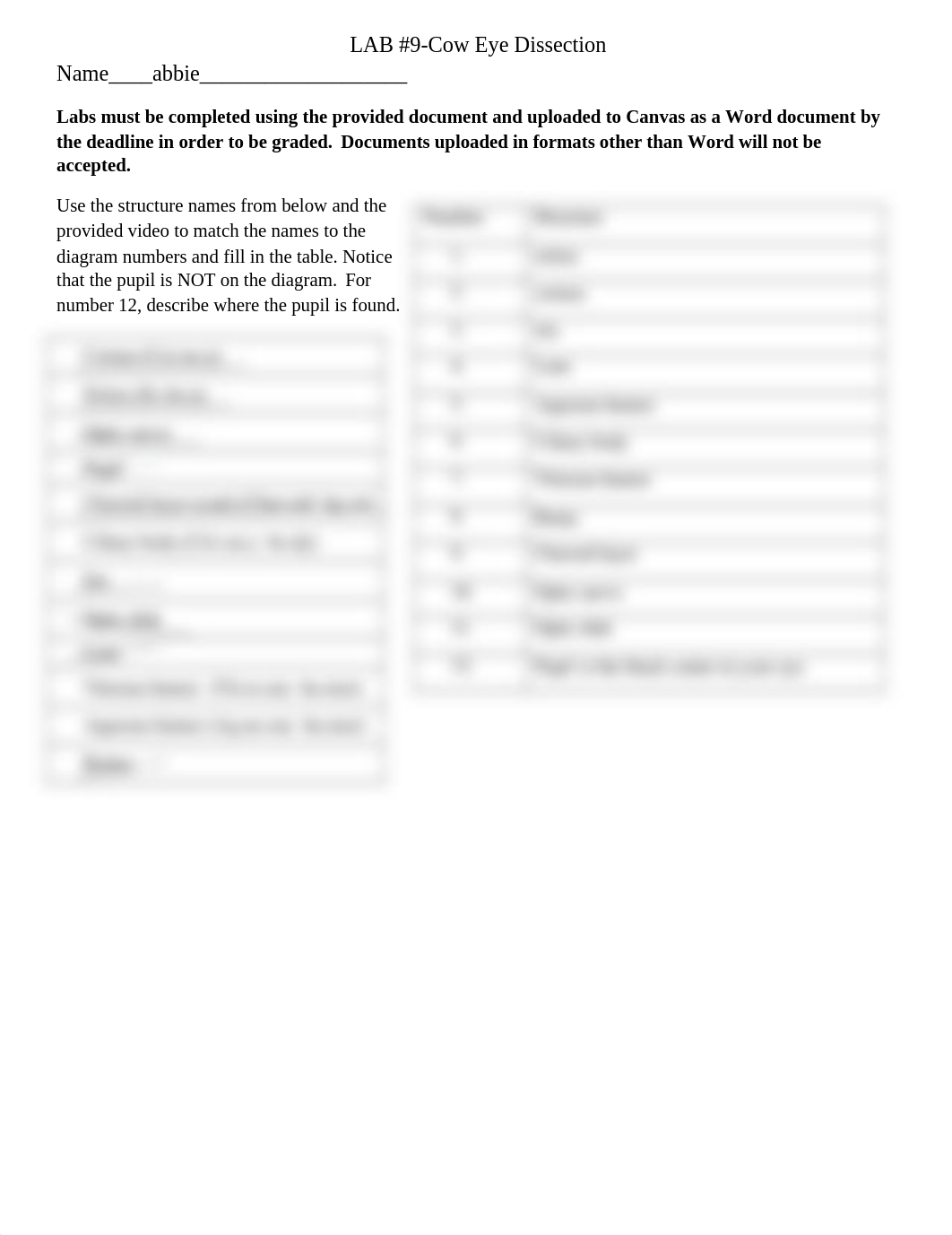 BIOL 2104 Lab #9-Cow Eye Dissection.docx_d4xueo4qovr_page1