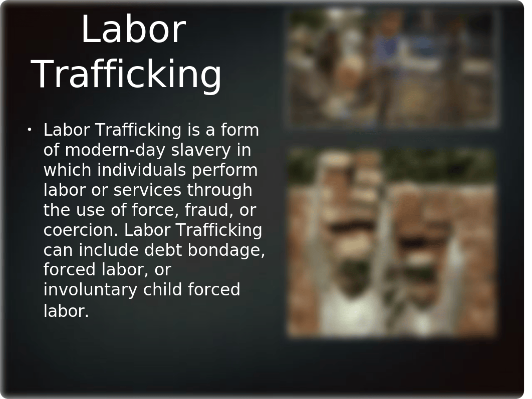 Human Trafficking Powerpoint final.pptx_d4xzlxf96nv_page4