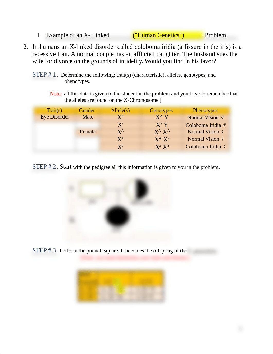 SP13. Steps on How to do X-linked Genetic Problems..docx_d4y6j2zrp0x_page1