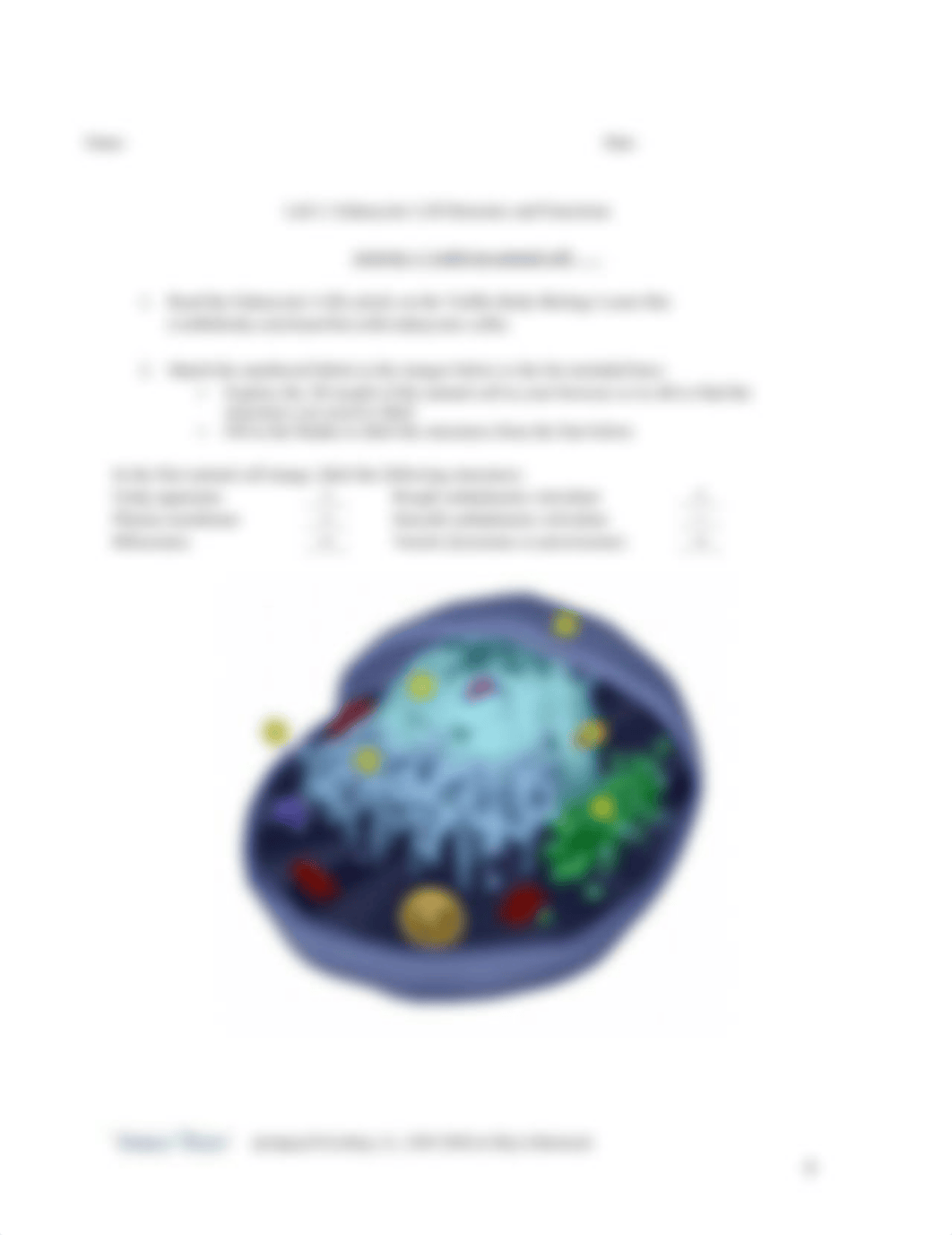 prokaryotic_and_eukaryotic_cells_lab_handout.docx_d4y7vd5jqic_page4