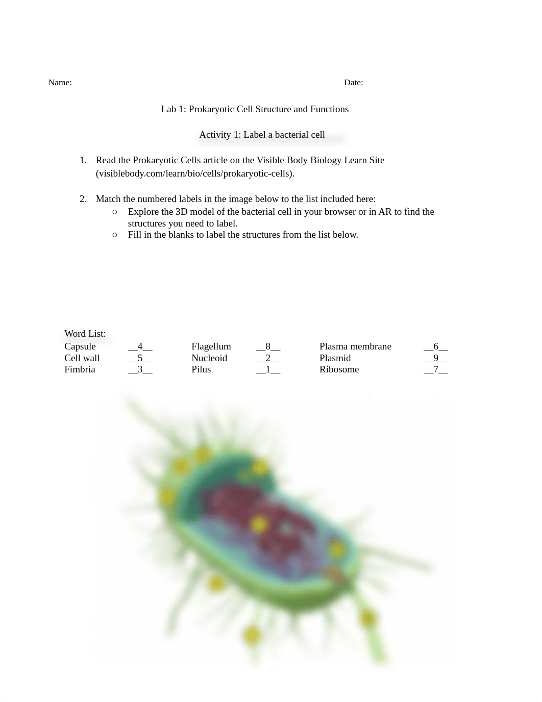 prokaryotic_and_eukaryotic_cells_lab_handout.docx_d4y7vd5jqic_page2