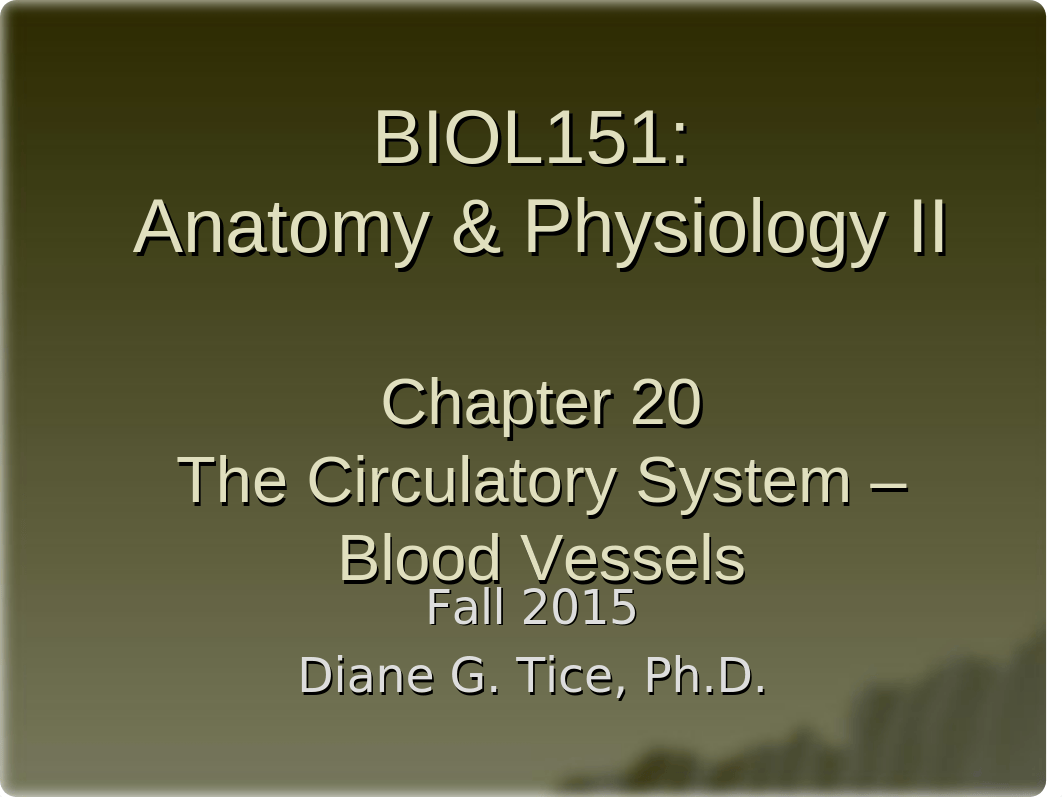 Chapter 20 - The Circulatory System - Blood Vessels (1)_d4y9n1el7jr_page1