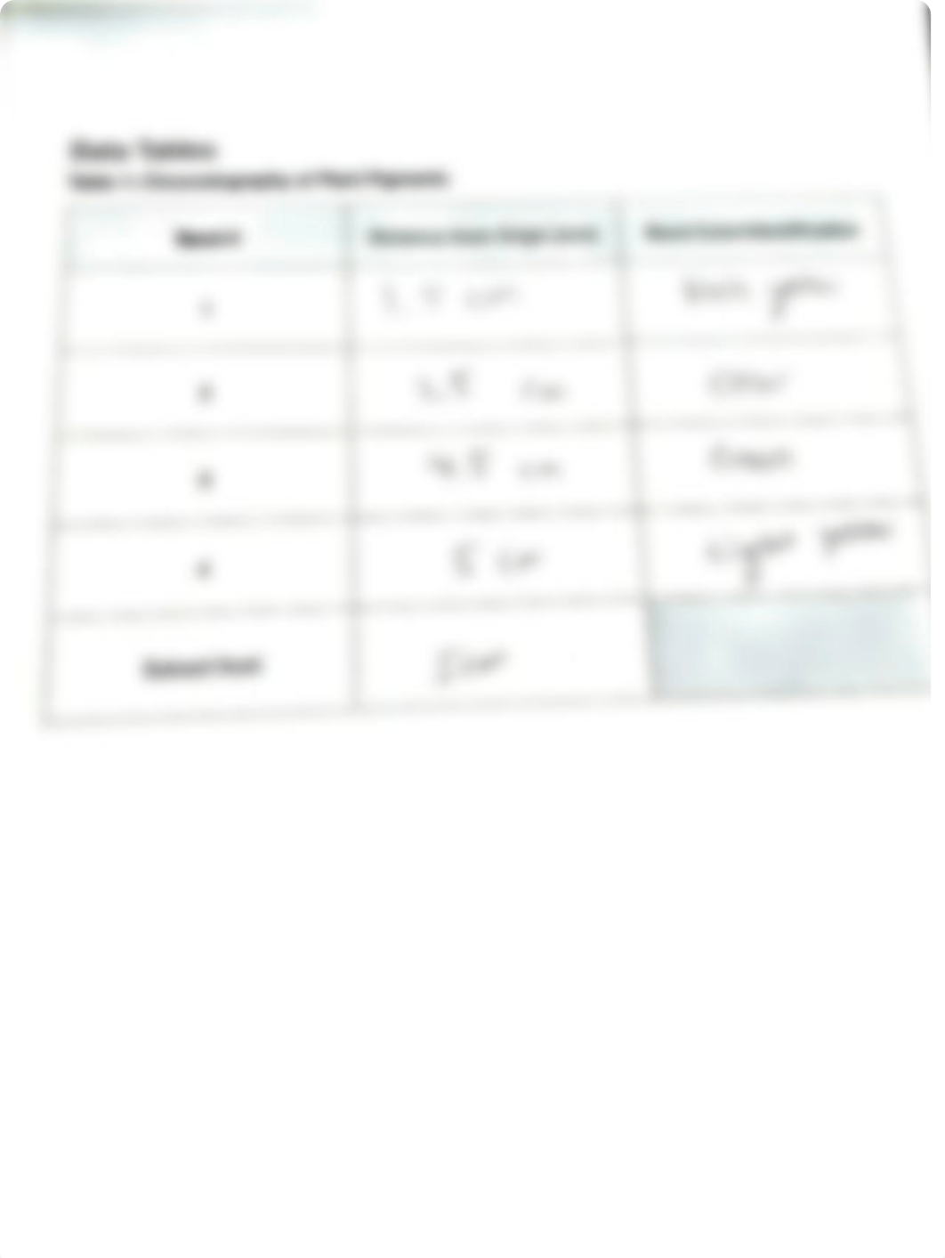 photosynthesis.pdf_d4yaaq6ho7f_page1