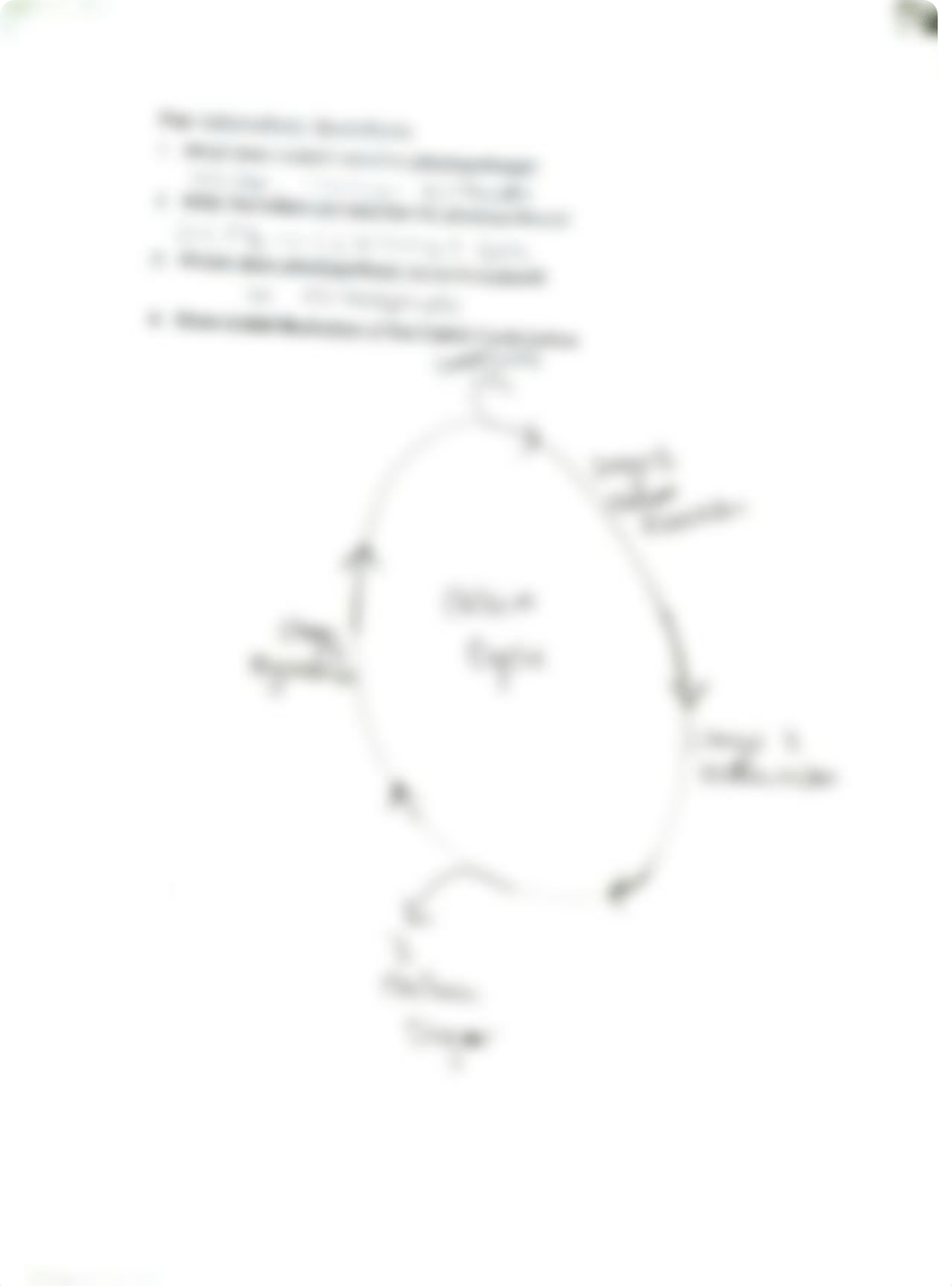 photosynthesis.pdf_d4yaaq6ho7f_page4