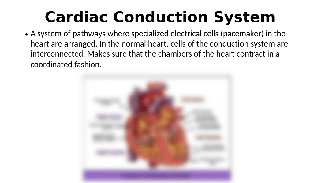 Week 11 EKG Interpretation NURS 3710 stu.pptx_d4ybeasga98_page5