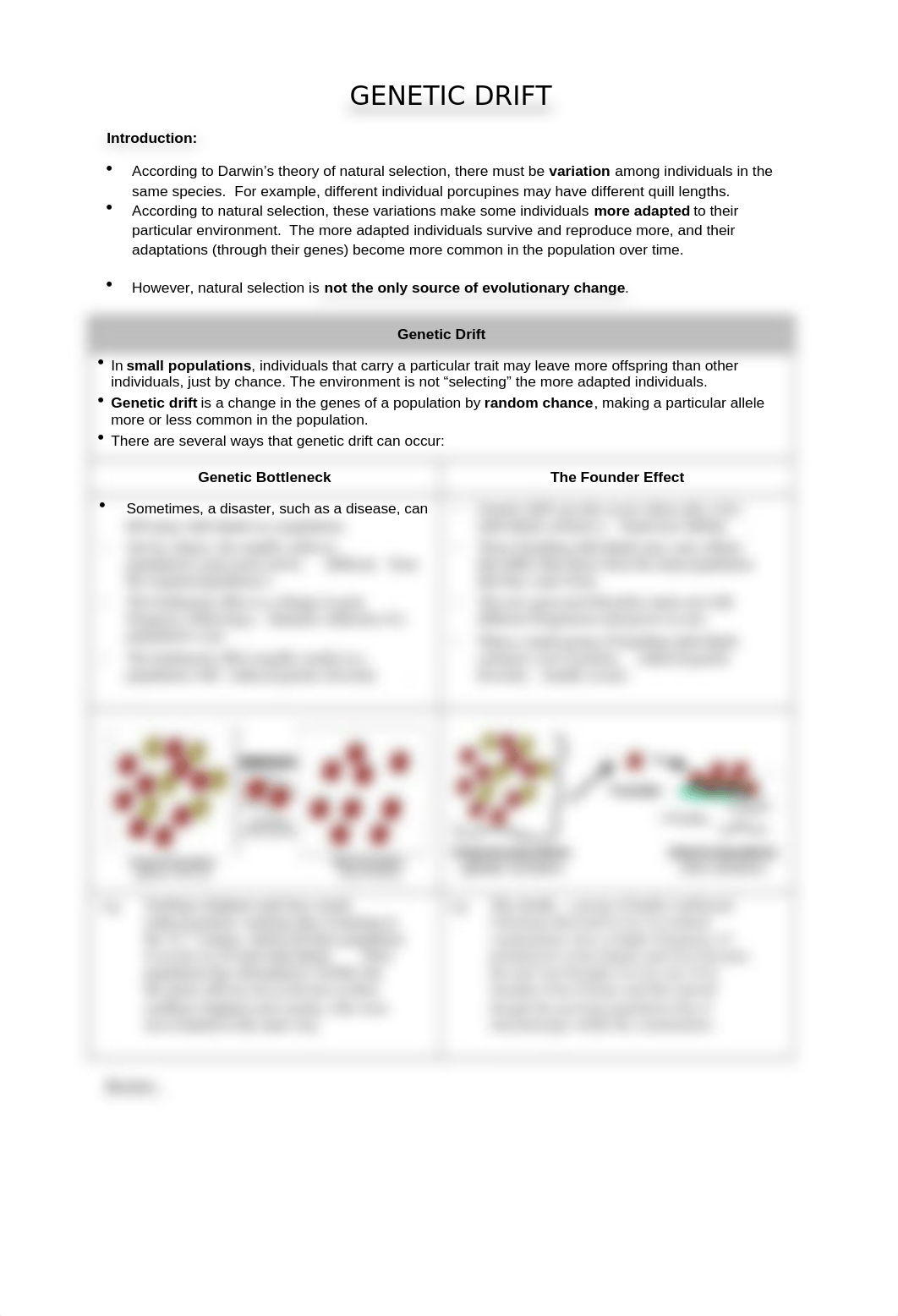 Genetic Drift WS.docx_d4ybi8u7563_page1