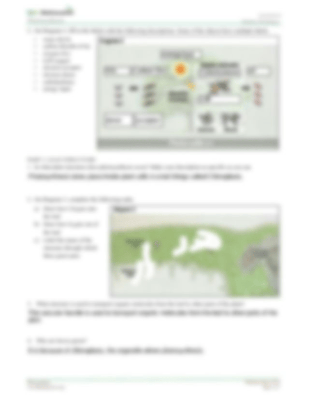 Photosynthesis-StudentWS-animation (2).pdf_d4ybtyuqbkt_page2