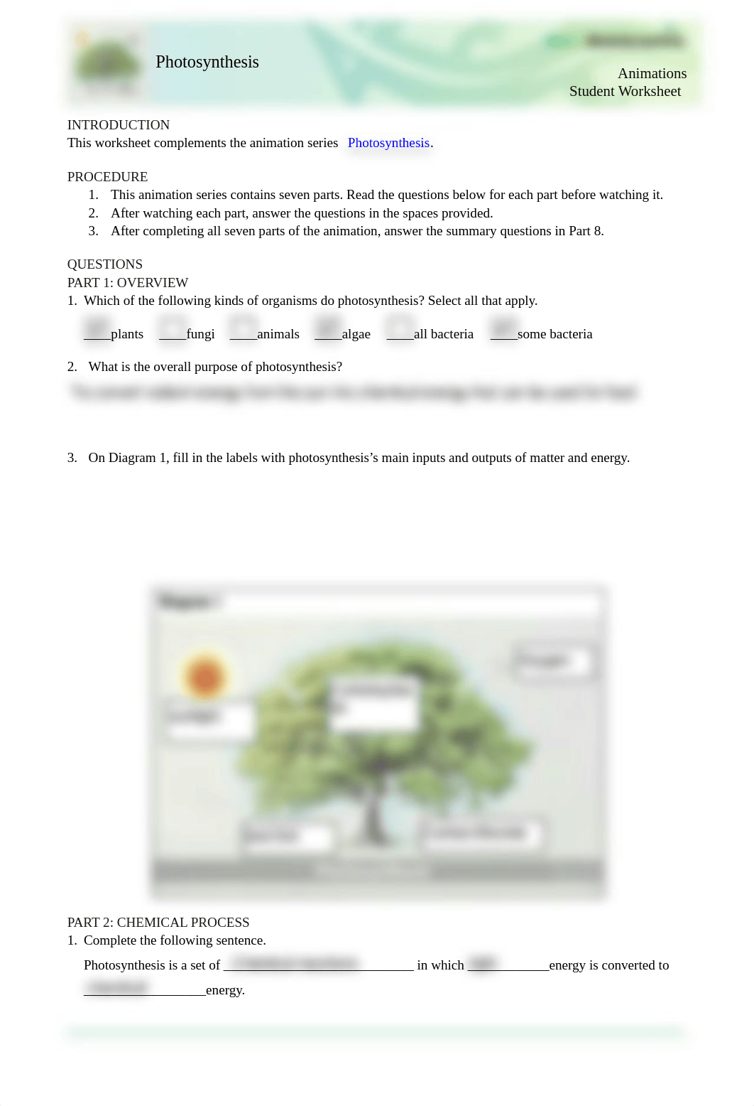 Photosynthesis-StudentWS-animation (2).pdf_d4ybtyuqbkt_page1