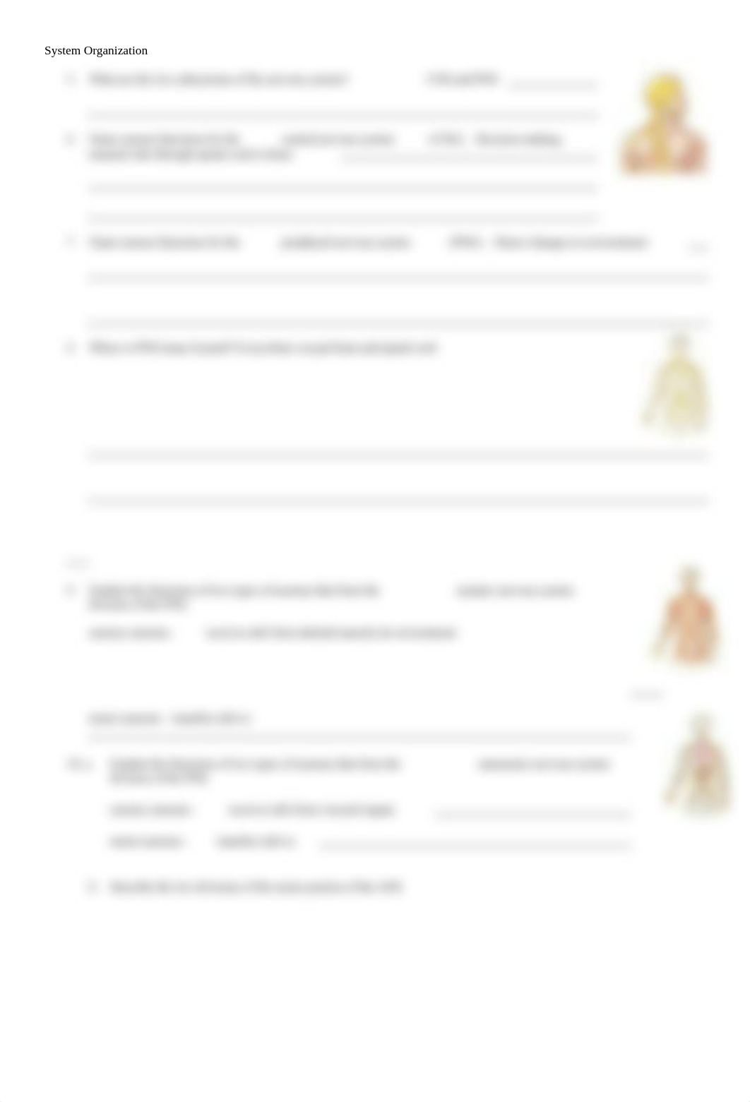 w5anim_introduction_structure_function_nervous_system_worksheet.doc_d4ydgrfbzgc_page2