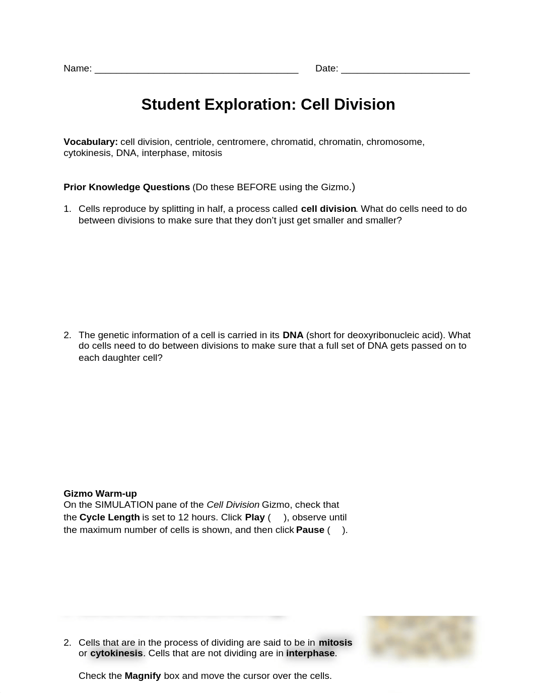 CellDivisionSE.docx_d4yetacota4_page1