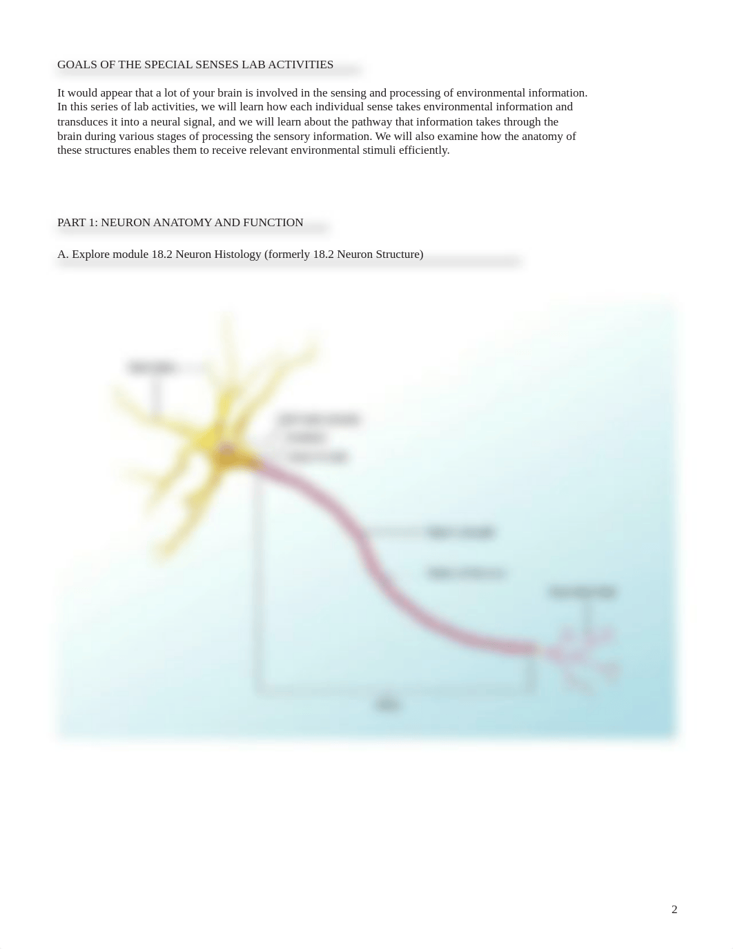 Kami Export - lab%20manual_senses%20primer_a+p.pdf_d4ygbpo5d43_page2