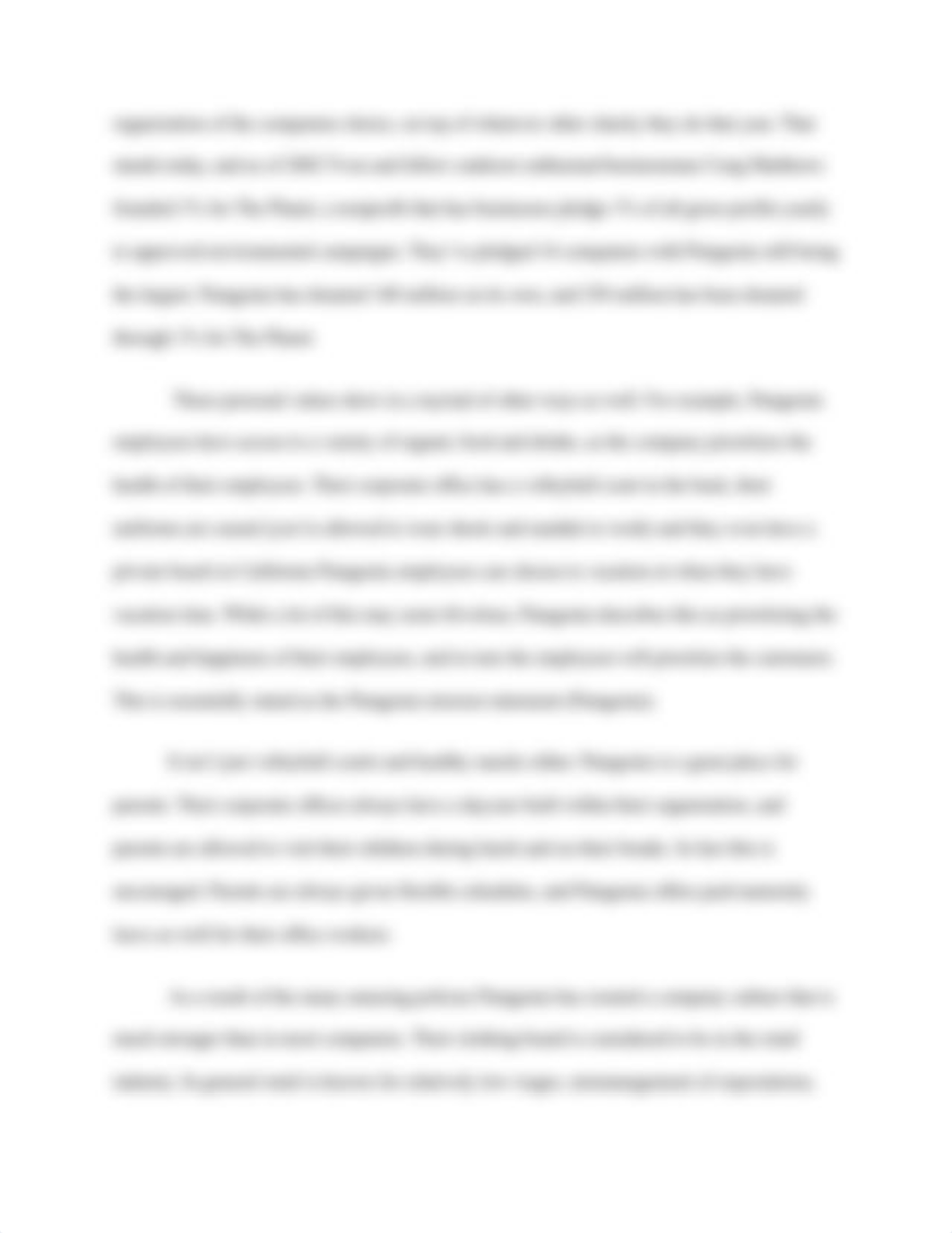 Case Study 19 Patagonia.docx_d4yhtduoi21_page3