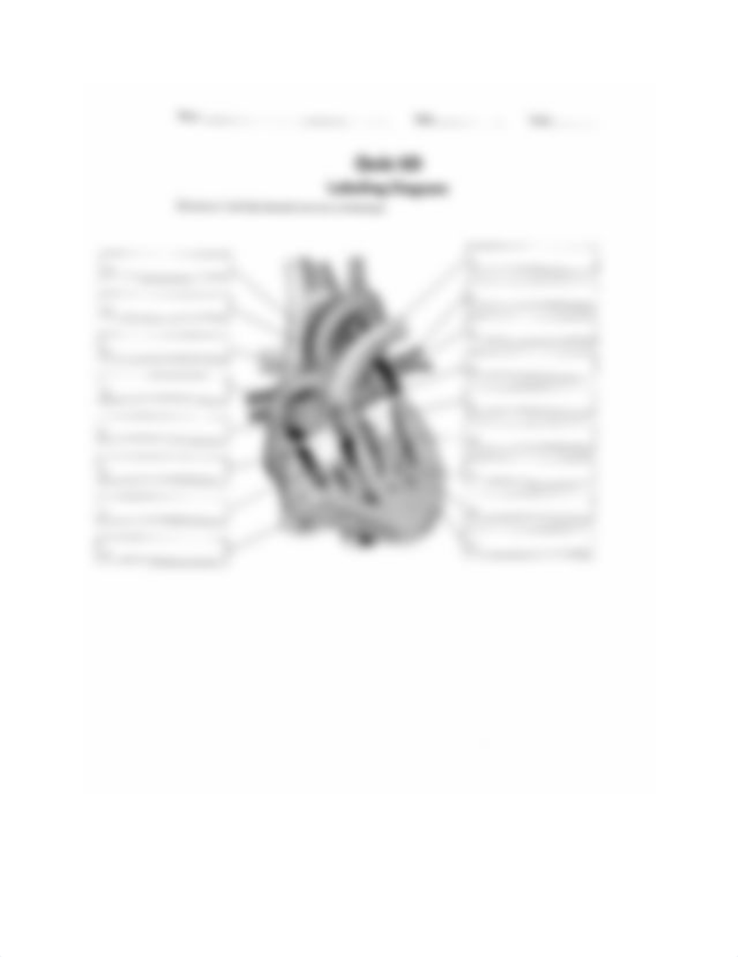 Ch5 Heart Diagram_d4ylwrbhv7p_page1