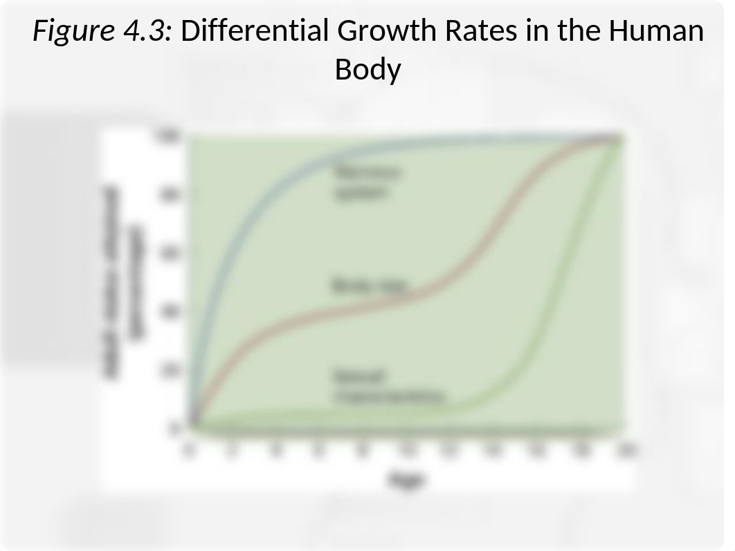 Chapter 4 PPT.ppt_d4ymya5oztu_page4