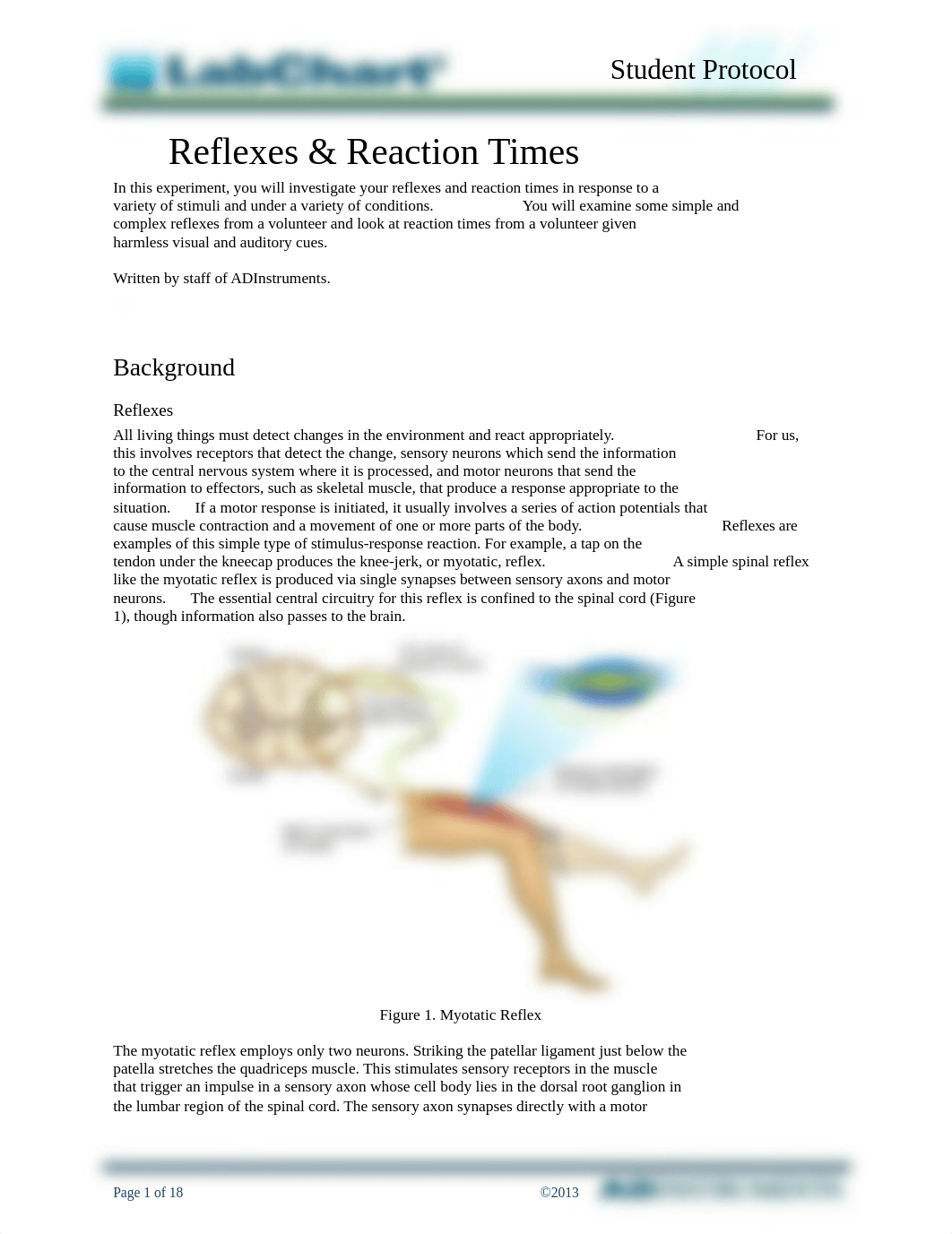 Skeer, Thomas Reflexes and Reactions.docx_d4yr5c7gz3s_page1