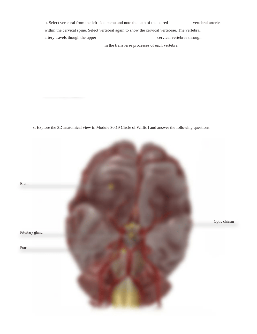 Lab Activity - Blood Vessels Part 2.pdf_d4yv3ji2n2h_page5