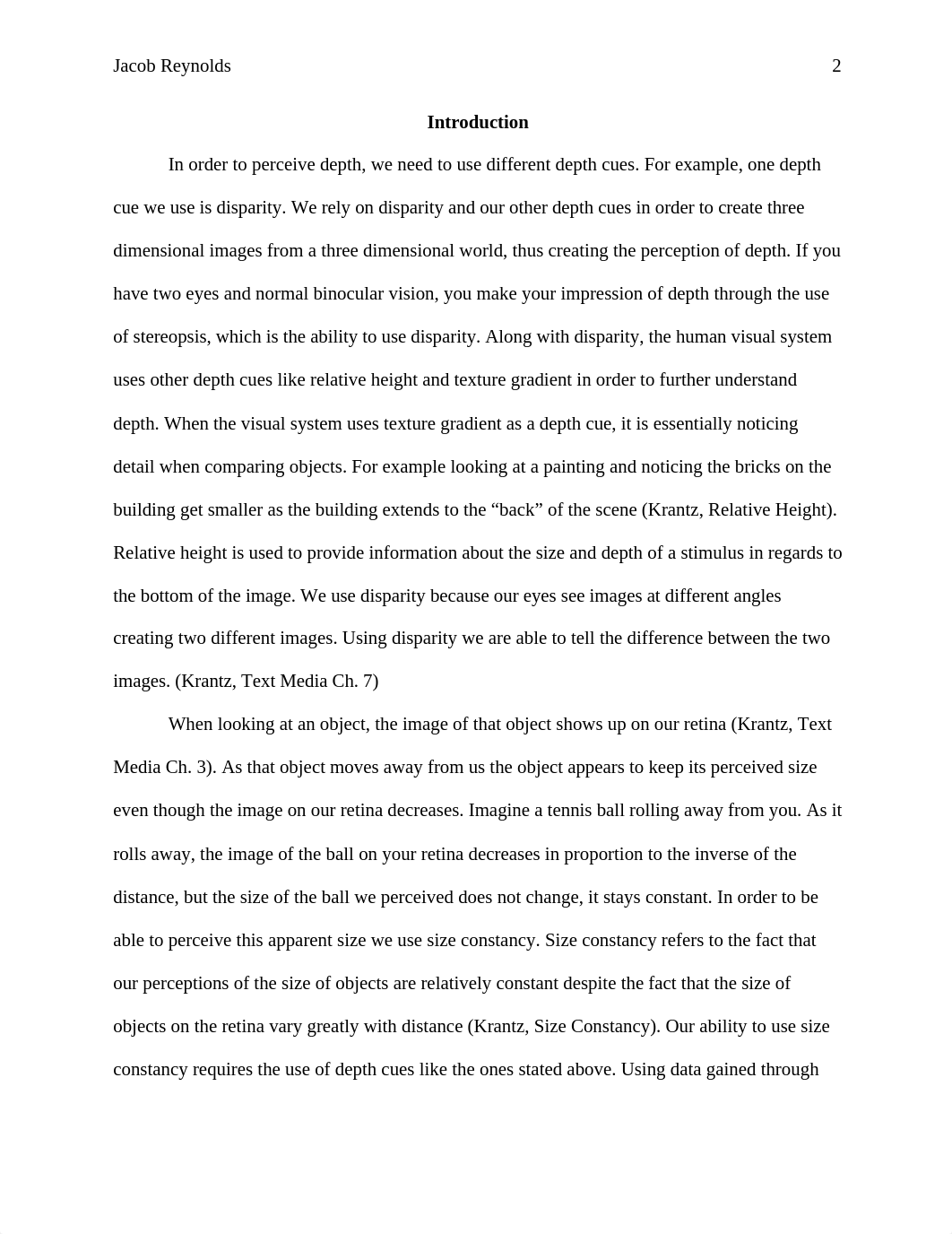 Lab, Size Constancy Full Lab_d4yxed9y4qf_page2