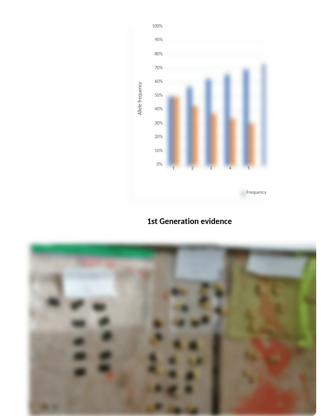 Allele freq lab.xlsx_d4z1y8pw0xt_page2