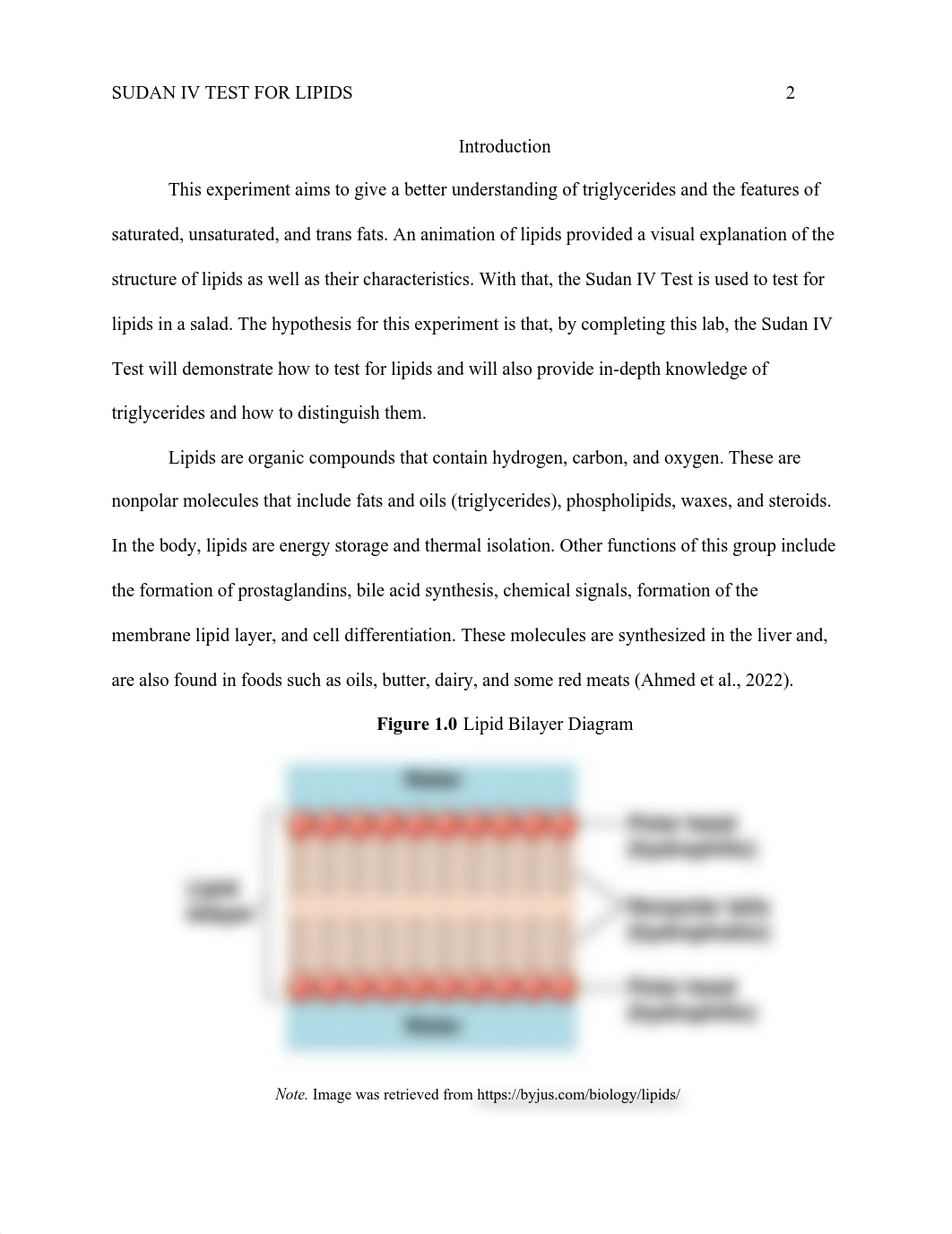 Lipids Lab Report (1).pdf_d4z6z7z90zb_page2