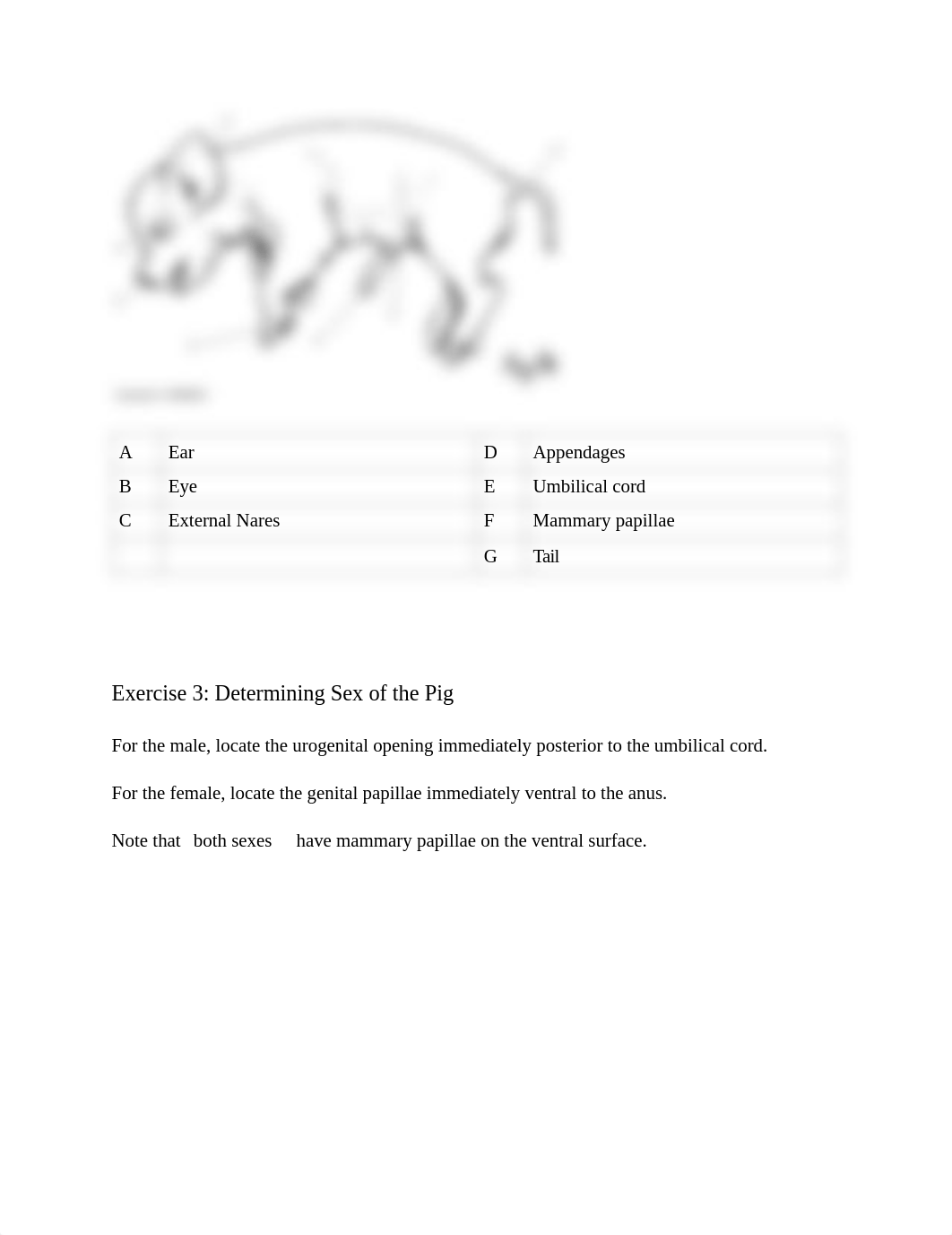 BIO 105 Chapter 10 Lab Fetal Pig Dissection ONL Version.pdf_d4z9l4wyoxw_page3