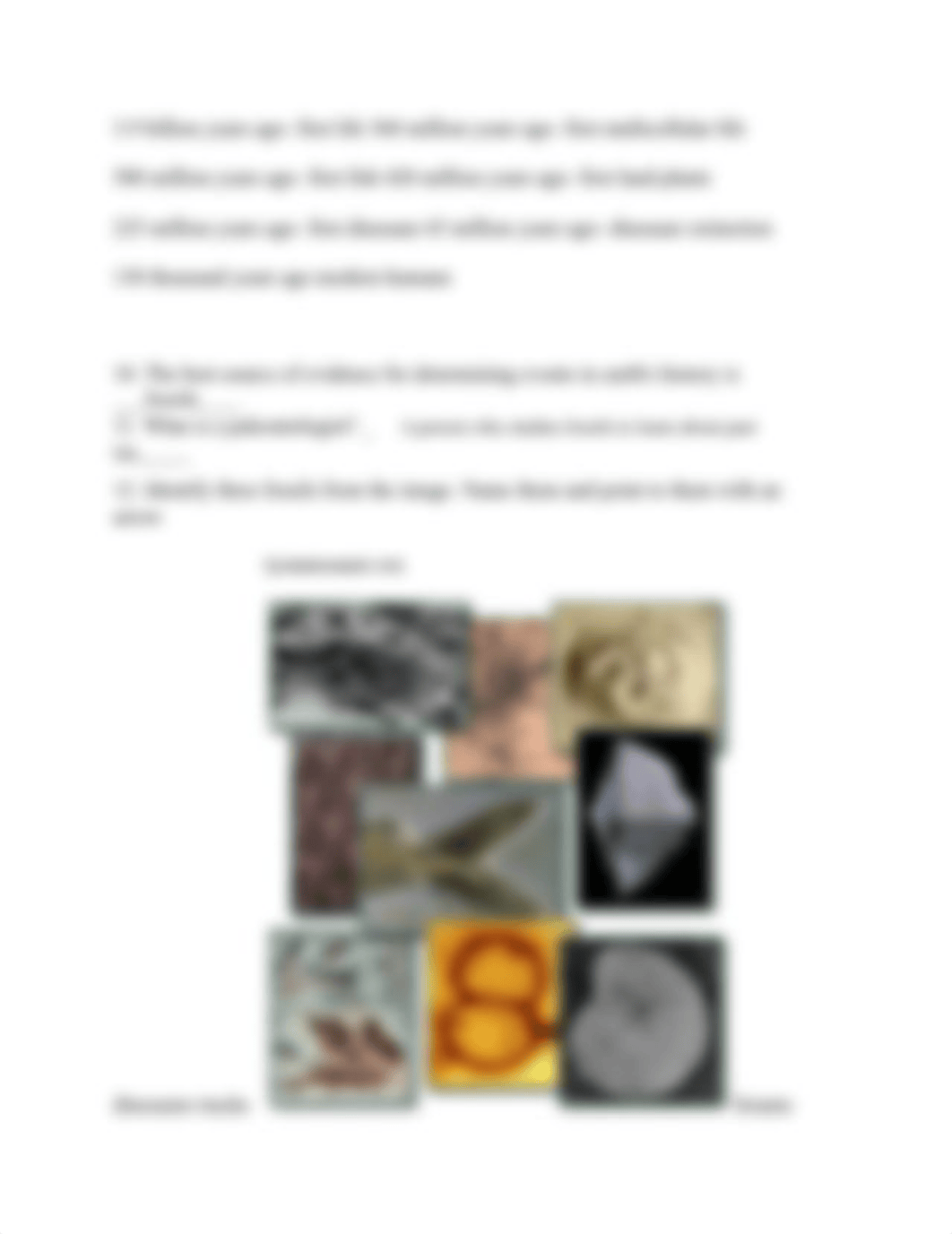 completed History of Life on Earth Virtual Lab.pdf_d4zf2u9jw9c_page2