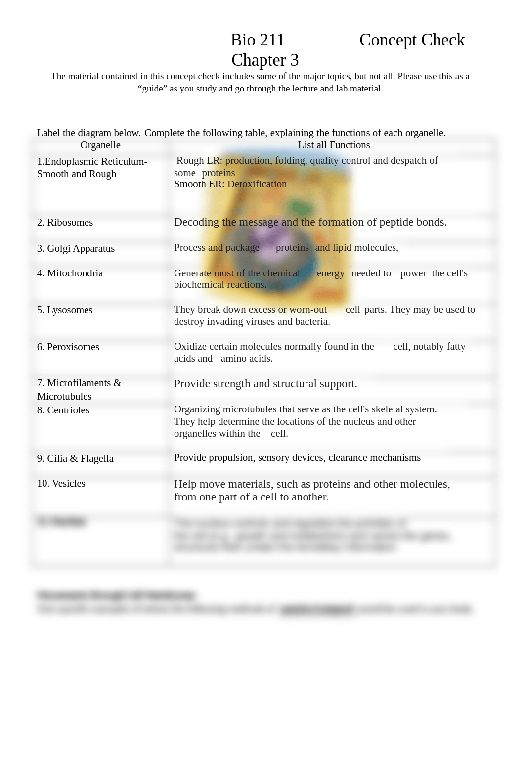 Chapter 3 Concept Check BIO211(1).doc_d4znqxs57tm_page1