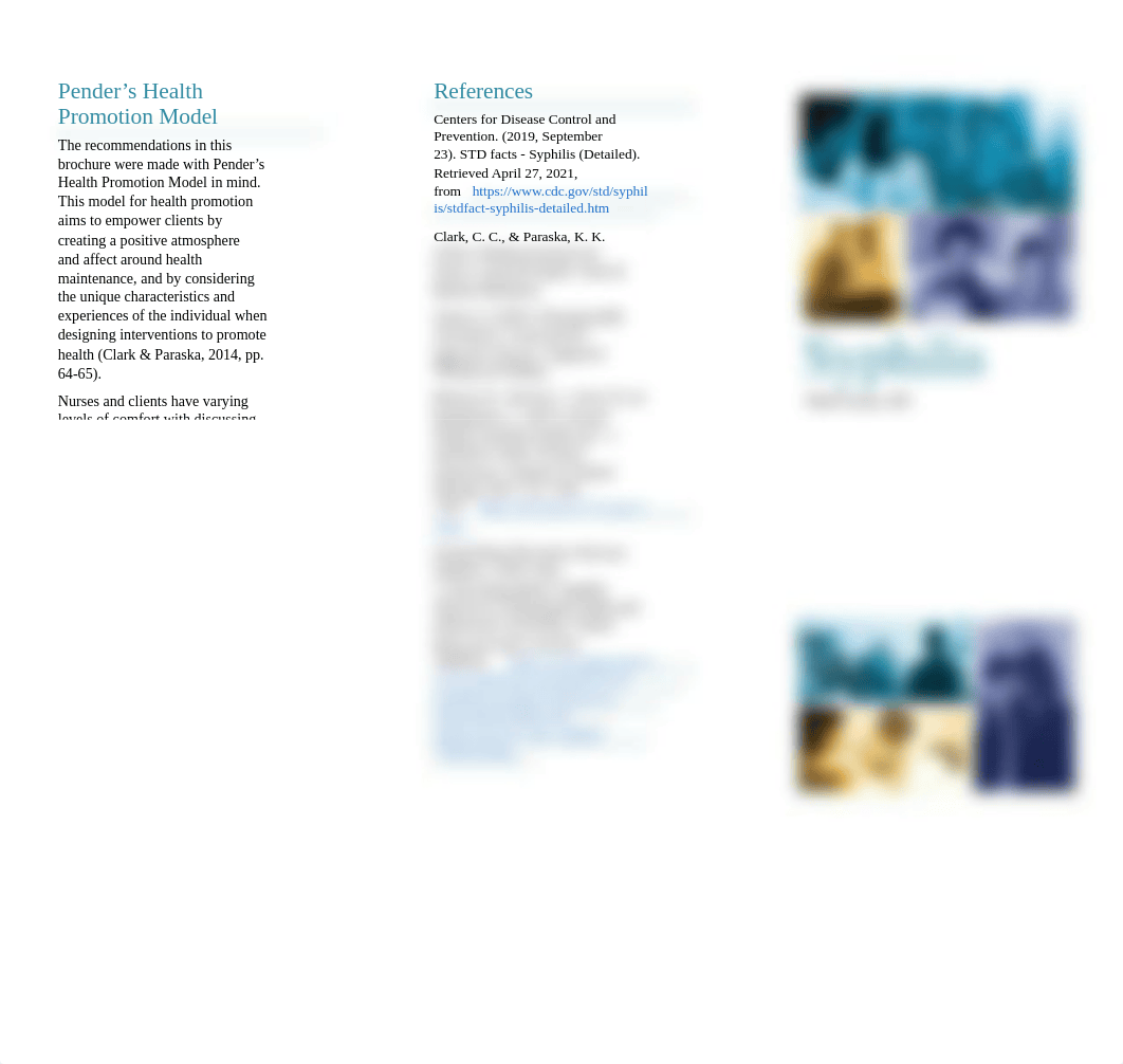 sti brochure.docx_d4ztm8picv9_page1