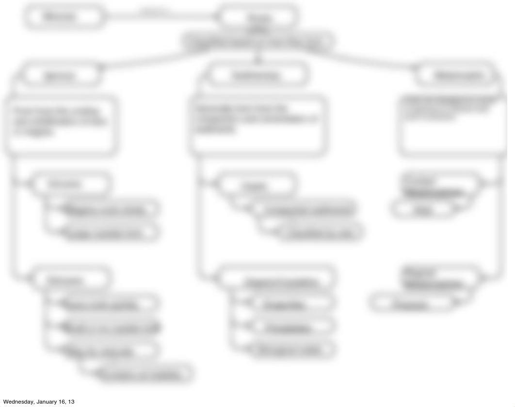 Igneous Rocks Flow Chart.pdf_d50alov4niy_page1