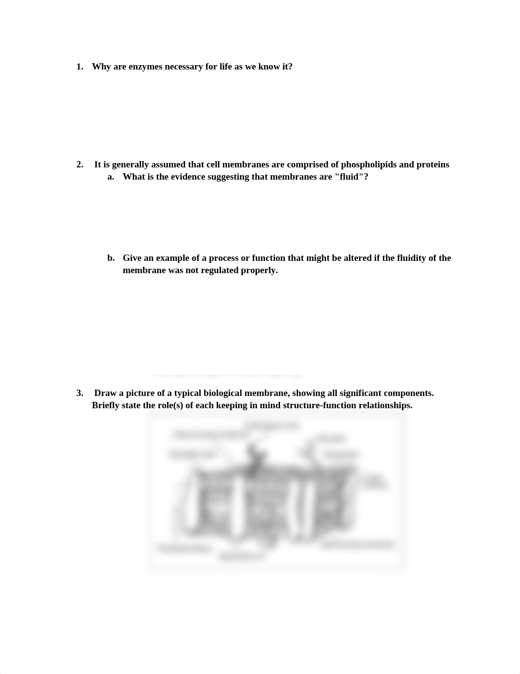 Physiology_ Exam 1 Study Guide.docx_d50h5f8hrsl_page1