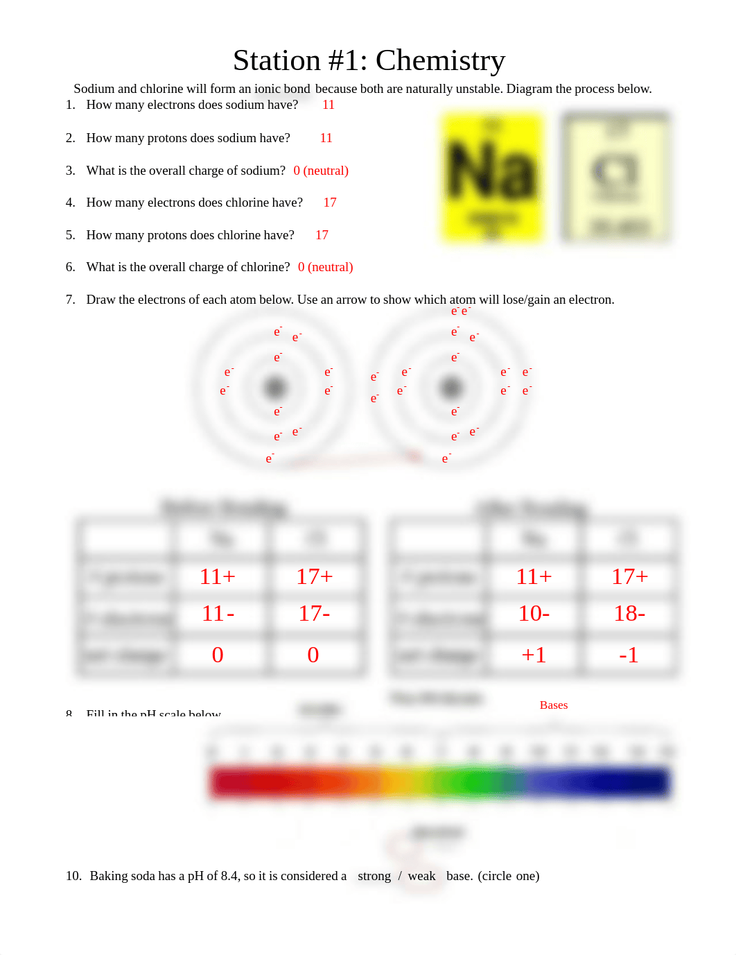 Final Exam Station Review Sheets_KEY_ Updated.pdf_d50v07ej144_page1