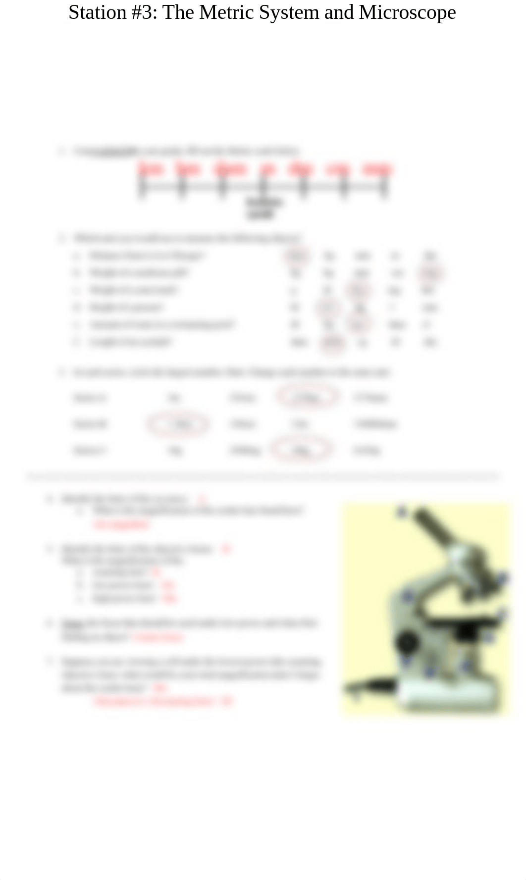 Final Exam Station Review Sheets_KEY_ Updated.pdf_d50v07ej144_page3