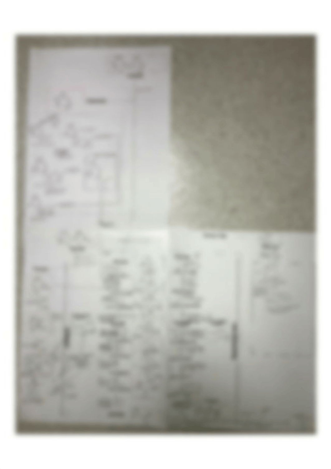 Biochemistry 4 Poster Pathway Building.jpg_d510gmwjwa0_page1