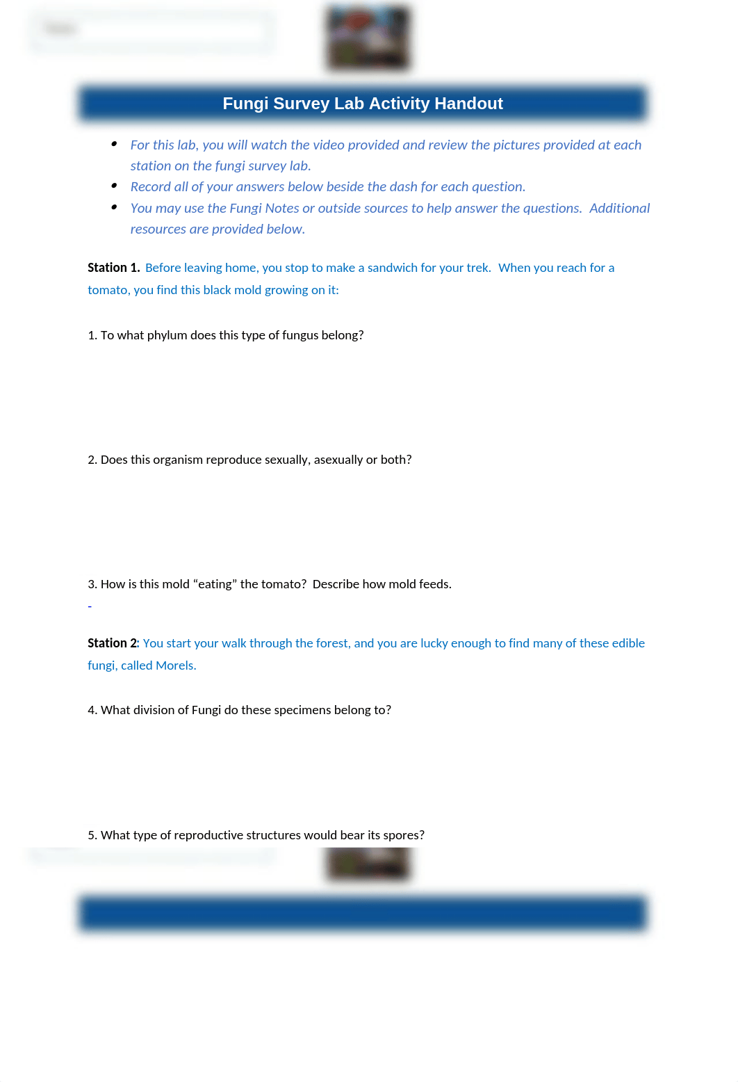 Fungi Survey Lab Worksheet (1).docx_d51eiz3hx83_page1