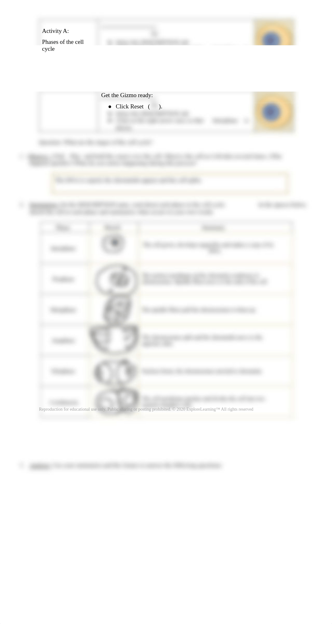 CellDivision.pdf_d51vpd27644_page2