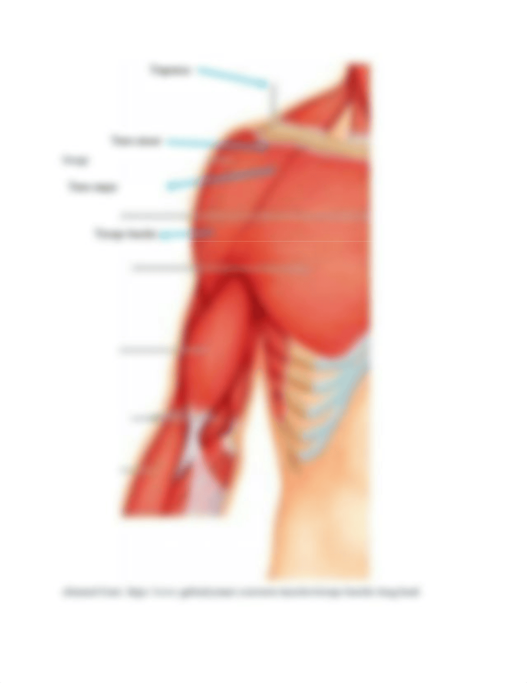 Pre-Lab 5.docx_d51vt0yylcv_page5