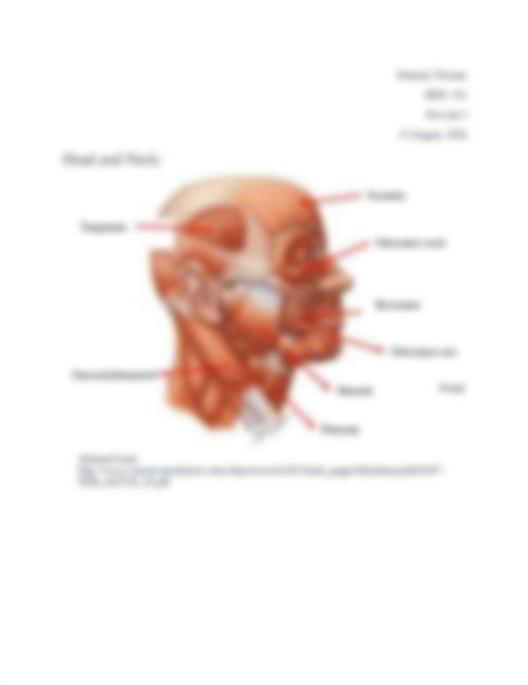 Pre-Lab 5.docx_d51vt0yylcv_page1