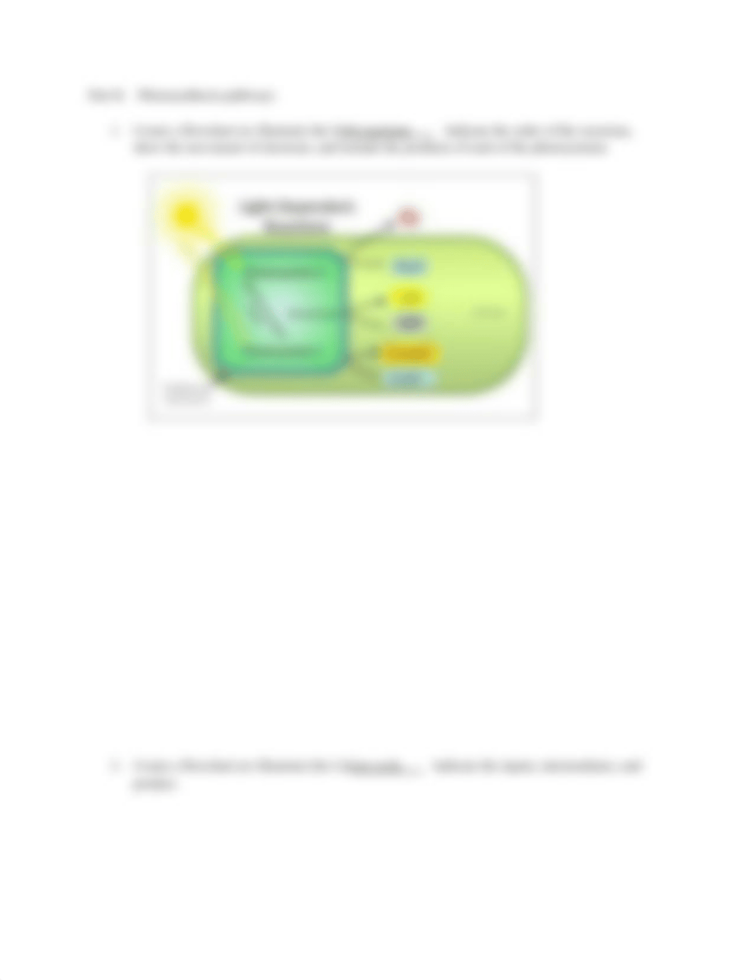 Photosynthesis Problem Set_3.pdf_d520f3yj6mb_page2