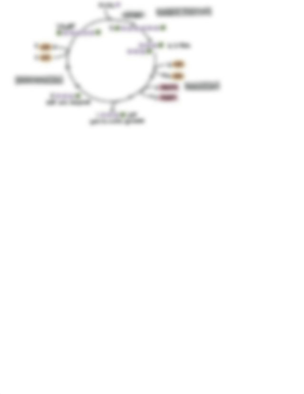 Photosynthesis Problem Set_3.pdf_d520f3yj6mb_page3