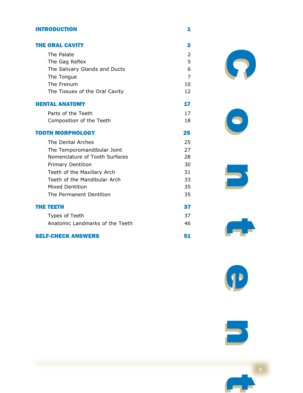 Dental Terminology and Anatomy_d521r99is9v_page4