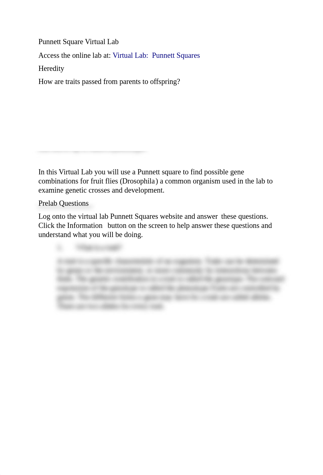 Punnett_Square_Virtual_Lab_d5246hw4y7y_page1