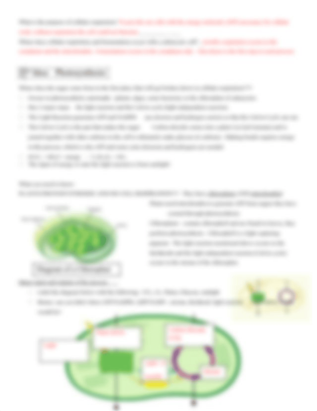 14-15 Keystone Review Packet Anchor 3 ANSWERS.docx_d527zusj5zz_page4