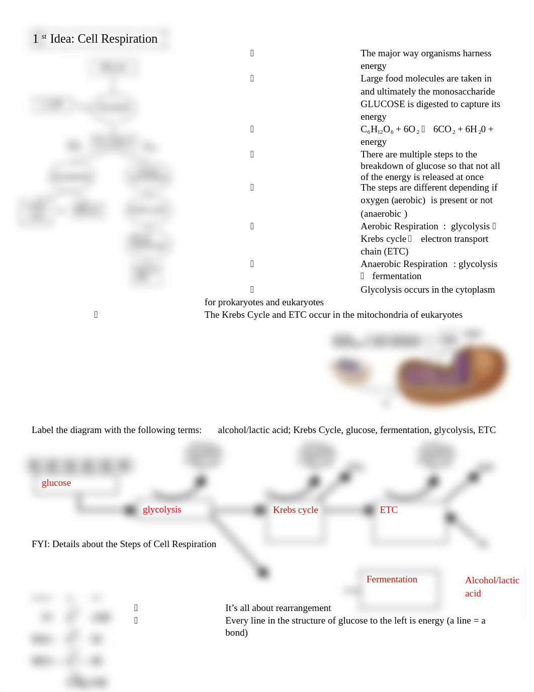 14-15 Keystone Review Packet Anchor 3 ANSWERS.docx_d527zusj5zz_page2